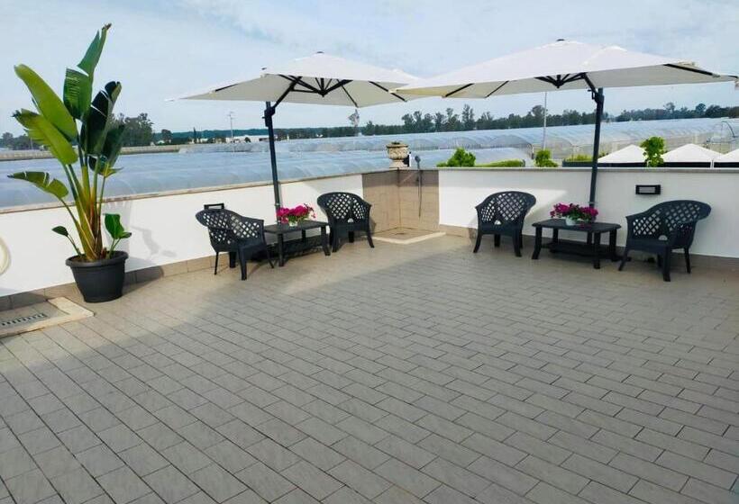 اتاق لوکس خانوادگی, Gioema