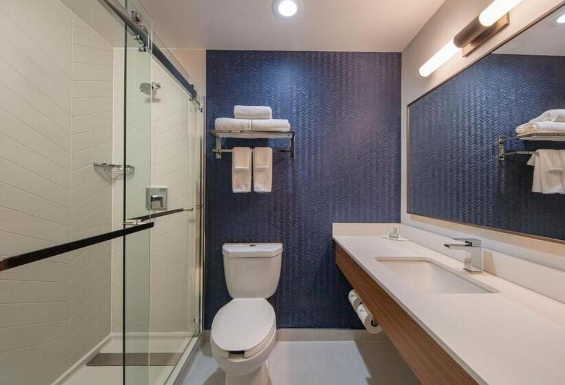 اتاق استاندارد با تخت بزرگ برای معلولان, Fairfield Inn By Marriott Jfk Airport