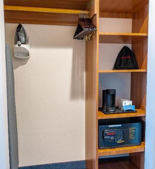 اتاق استاندارد با تخت بزرگ برای معلولان, Fairfield Inn By Marriott Jfk Airport