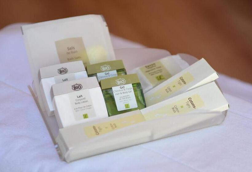 اتاق استاندارد, Logis Hôtel Restaurant Grand Hôtel De Lyon