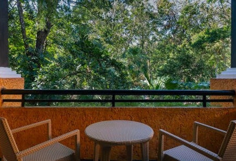 اتاق استاندارد, Iberostar Waves Quetzal