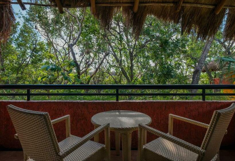 سوییت جونیور, Iberostar Waves Quetzal