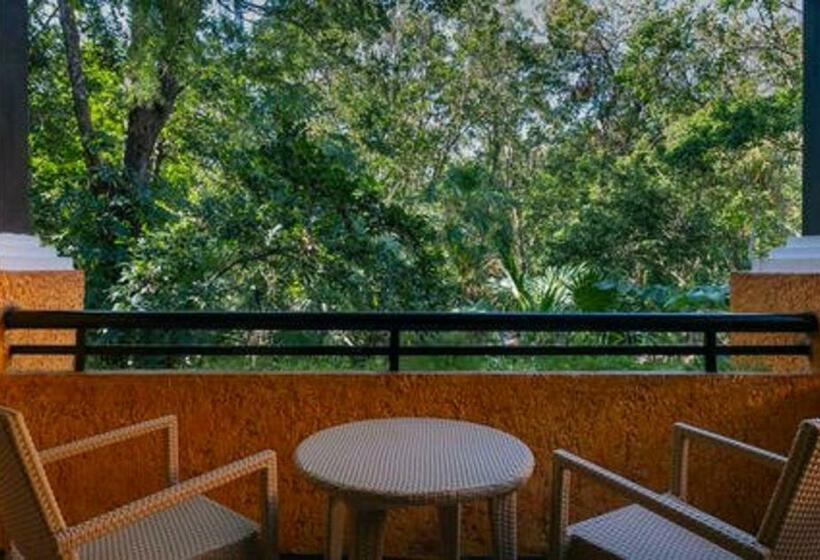 اتاق اکونومی, Iberostar Waves Quetzal