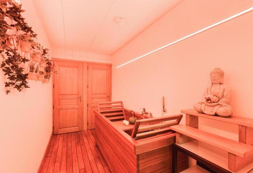 آپارتمان 1 خوابه, Residence And Spa Vallorcine Montblanc