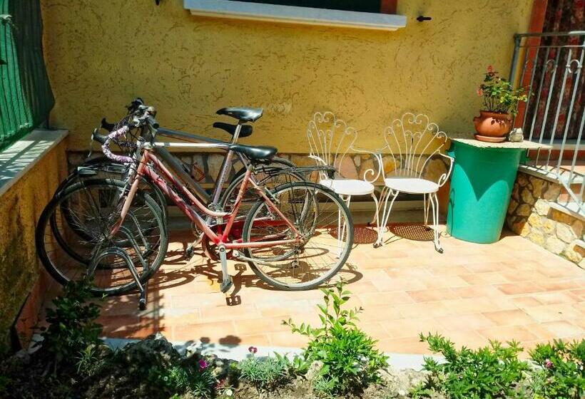 اتاق استاندارد, Sally S B&b
