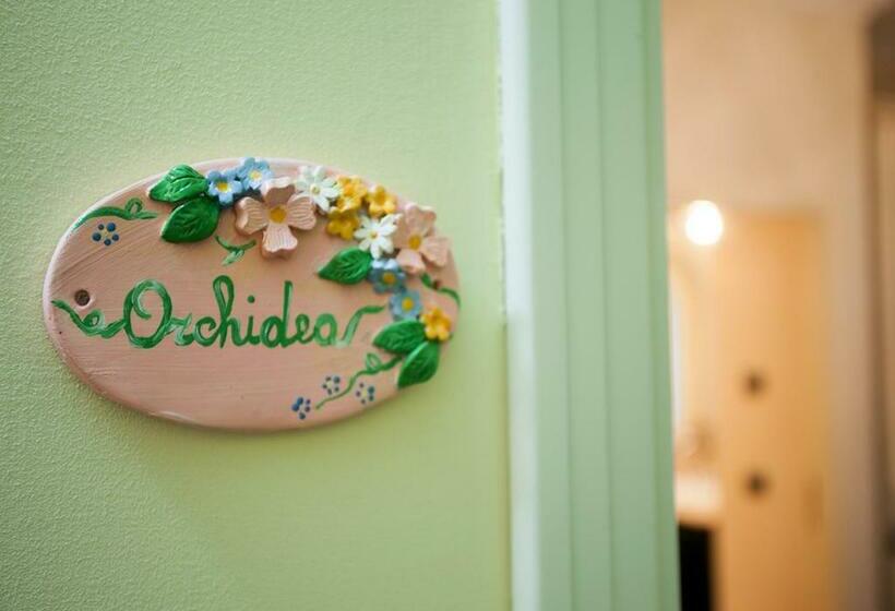 اتاق استاندارد چهار تخته, La Casa Della Nonna