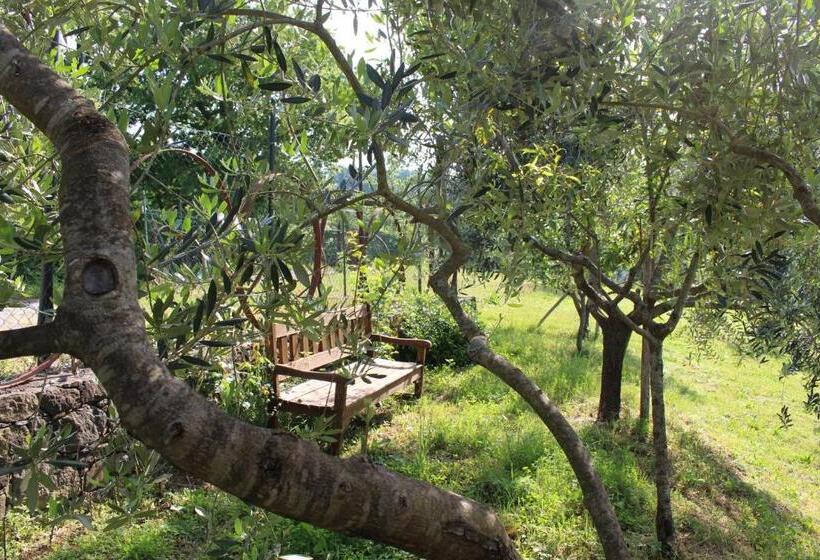 Standard room with outdoor bath, Agriturismo Angio Nel Cere