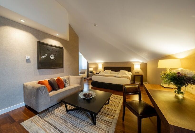 Junior Suite, Castilla Termal Olmedo