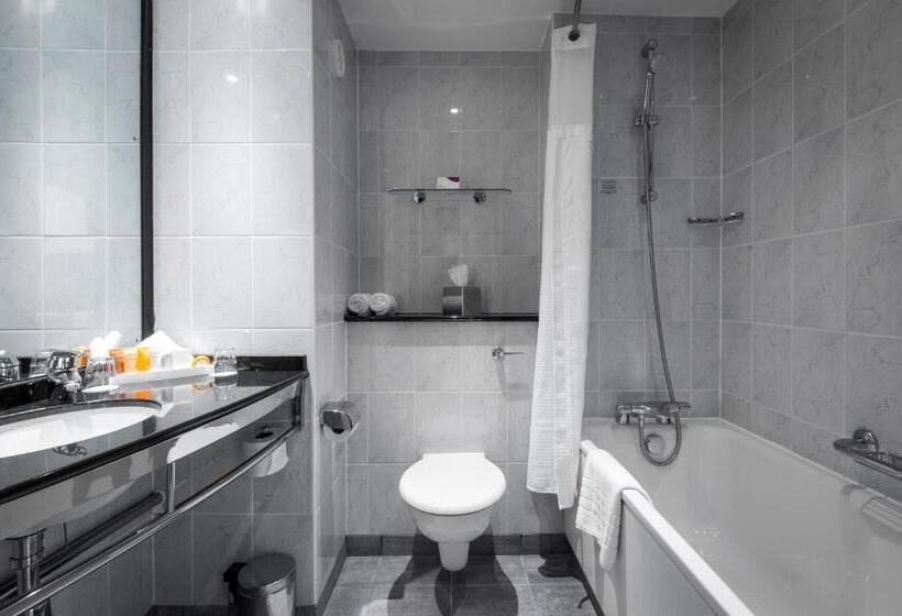 اتاق استاندارد با چشم‌انداز دریاچه, Crowne Plaza Birmingham Nec, An Ihg