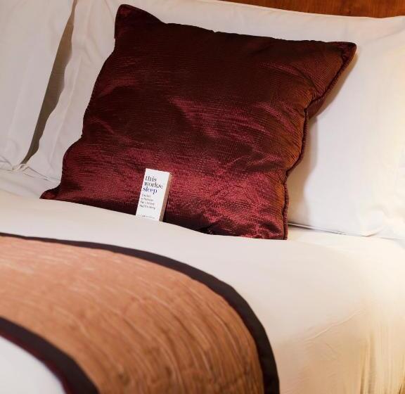 اتاق استاندارد با چشم‌انداز دریاچه, Crowne Plaza Birmingham Nec, An Ihg