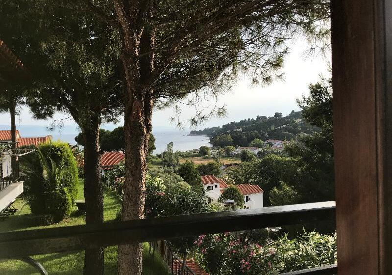 اتاق استاندارد, Garda