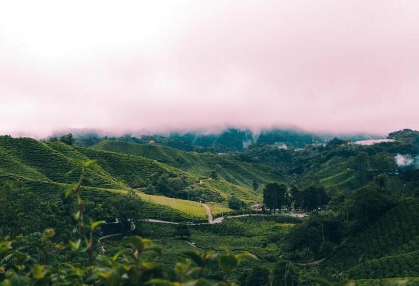 غرفة ديلوكس رباعية, Heritage  Cameron Highlands