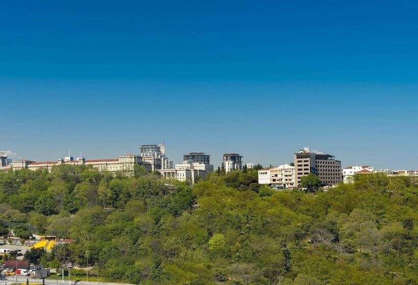 اتاق کلاب, The Ritzcarlton, Istanbul