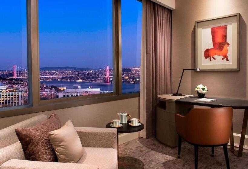 اتاق استاندارد با چشم‌انداز پارک, The Ritzcarlton, Istanbul