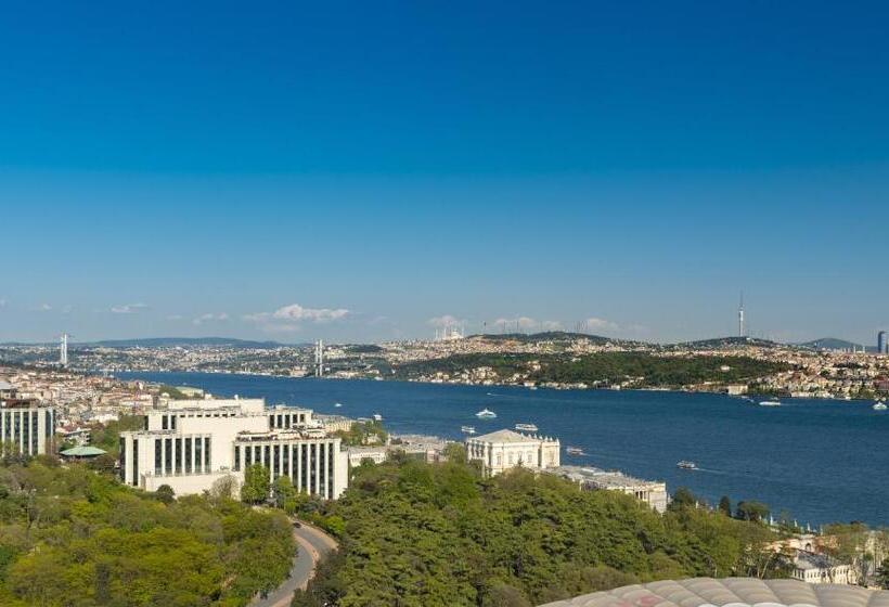 اتاق استاندارد با چشم‌انداز, The Ritz Carlton, Istanbul At The Bosphorus