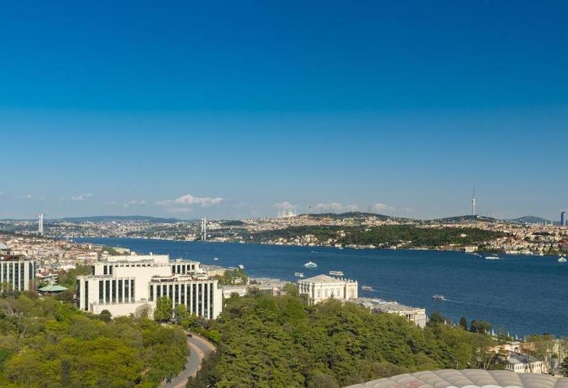 اتاق استاندارد با چشم‌انداز, The Ritzcarlton, Istanbul