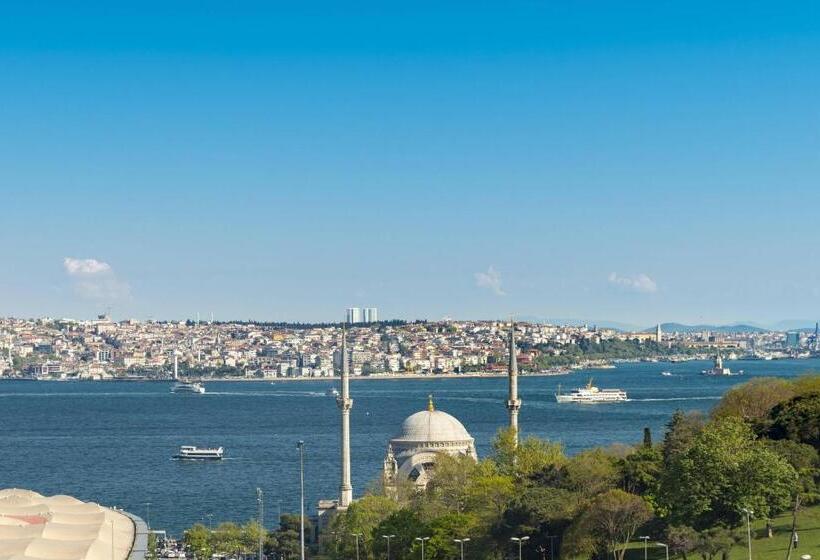 سوئیت پرزیدنت, The Ritzcarlton, Istanbul