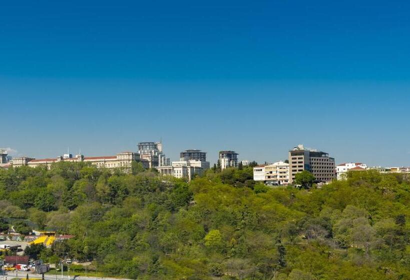 اتاق استاندارد با چشم‌انداز پارک, The Ritzcarlton, Istanbul