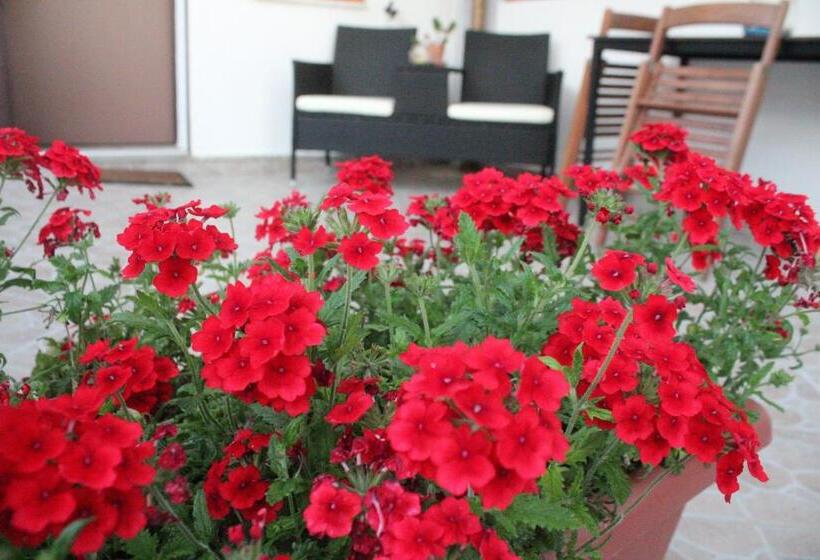 اتاق استاندارد سه نفره, B&b Verzavò