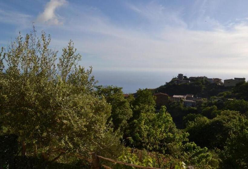 اتاق استاندارد, B&b Verzavò