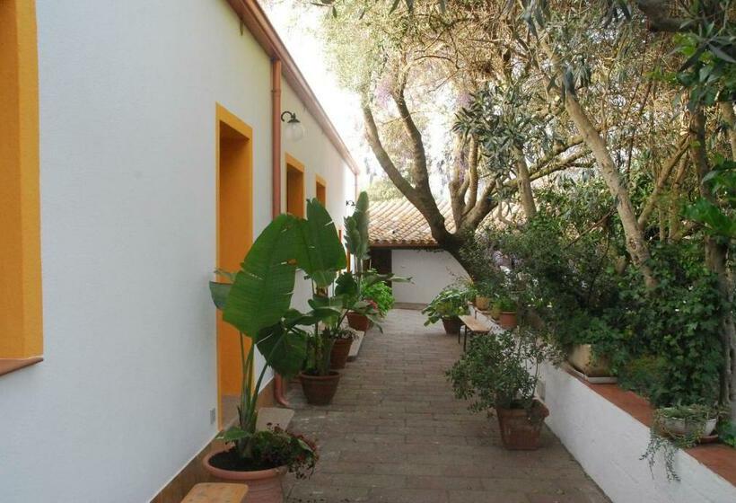 اتاق اکونومی, B&b Su Narboni Mannu E4247