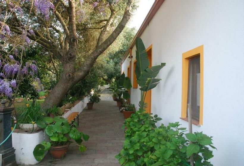 اتاق اکونومی, B&b Su Narboni Mannu E4247