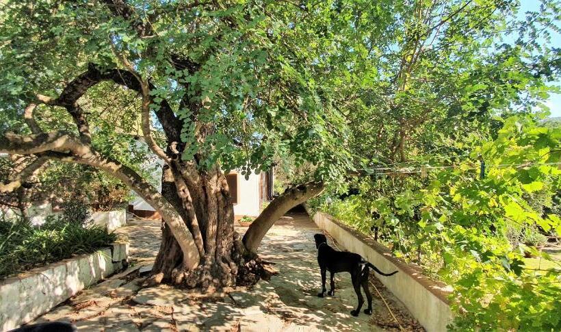 اتاق استاندارد, B&b Su Narboni Mannu E4247