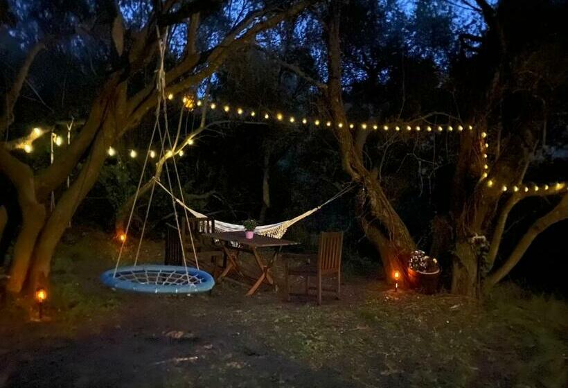 اتاق لوکس, Agriturismo Lu Branu