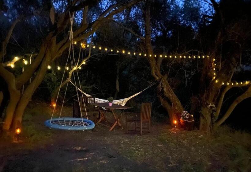 اتاق استاندارد, Agriturismo Lu Branu