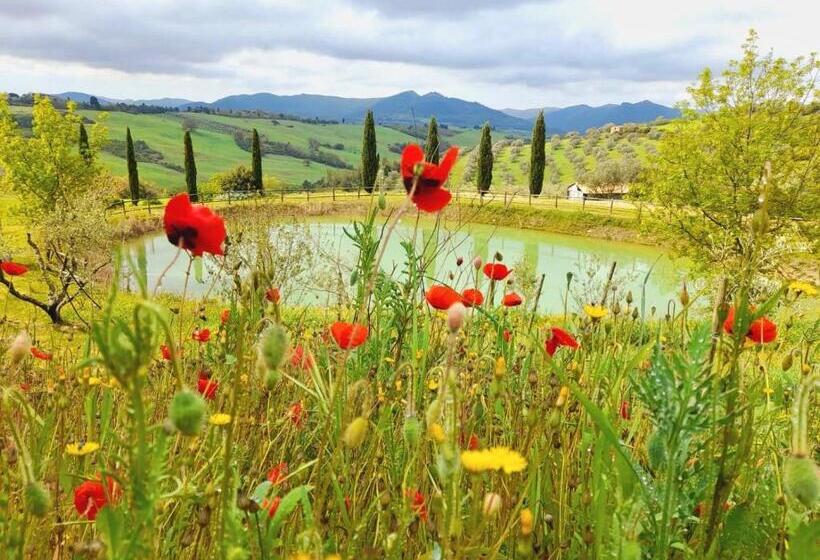 آپارتمان 1 خوابه, Agriturismo San Tommaso