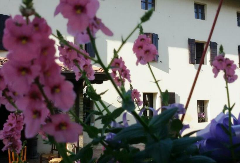 اتاق استاندارد, Fiori Di Maggio