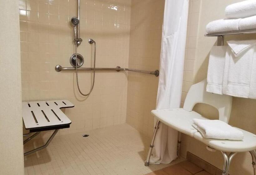 اتاق استاندارد با تخت بزرگ برای معلولان, Holiday Inn Hotel & Suites Anaheim, An Ihg