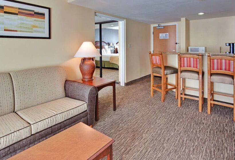 سوئیت 2 خوابه, Holiday Inn Hotel & Suites Anaheim, An Ihg