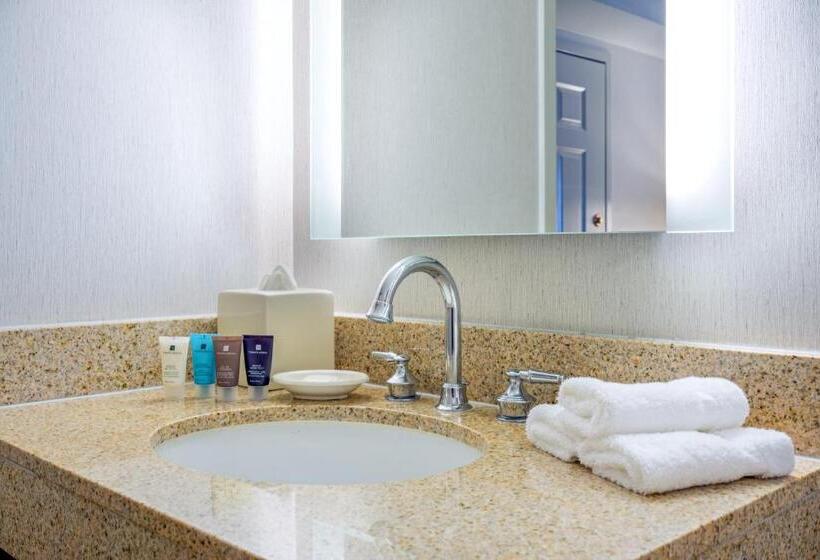 اتاق استاندارد با تخت بزرگ, Astor Crowne Plaza New Orleans French Quarter