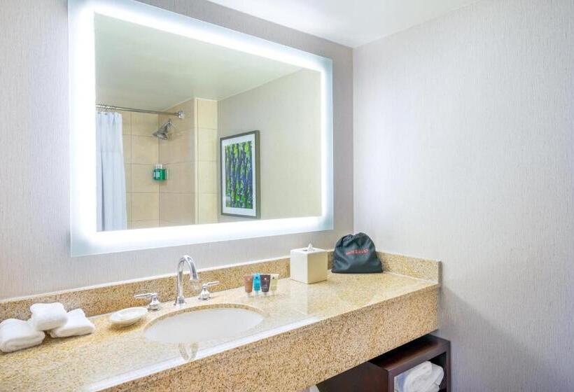 اتاق استاندارد با چشم‌انداز شهر, Astor Crowne Plaza  Corner Of Bourbon Street