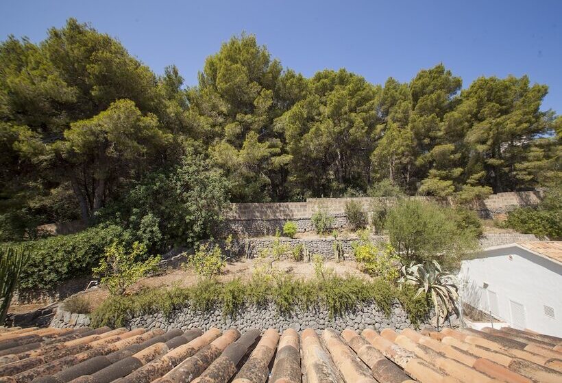 اتاق استاندارد یک نفره, Eden Nord Soller