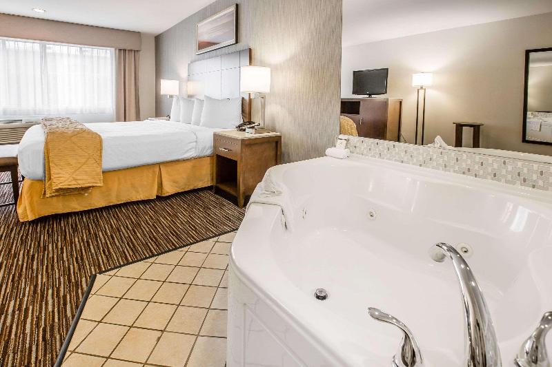 اتاق استاندارد با تخت بزرگ, Quality Inn & Suites Hermosa Beach