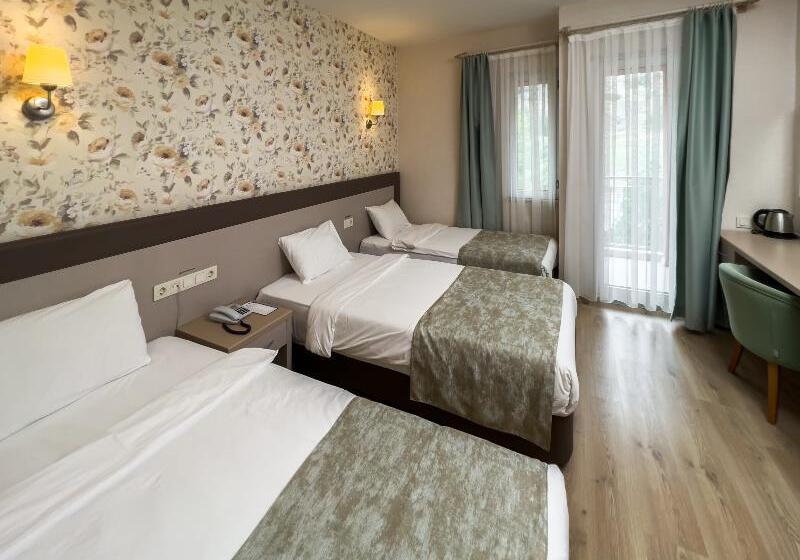 اتاق استاندارد, Spa Hotel Colossae Thermal