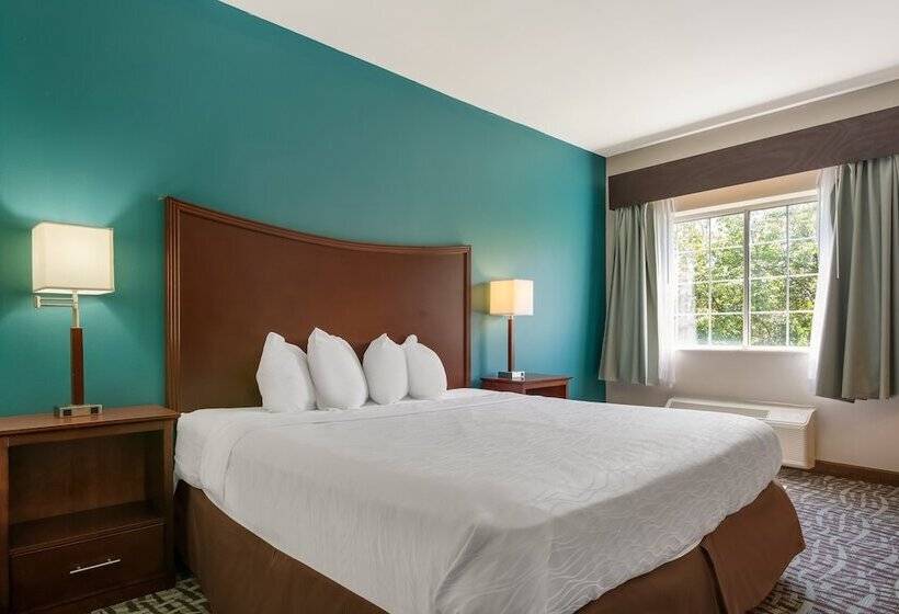 سوییت, Surestay Plus Hotel By Best Western Topeka