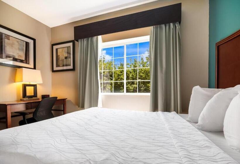 اتاق استاندارد با تخت بزرگ, Surestay Plus Hotel By Best Western Topeka