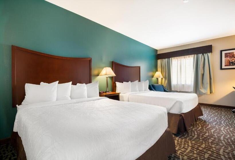 اتاق استاندارد, Surestay Plus  By Best Western Topeka Northwest