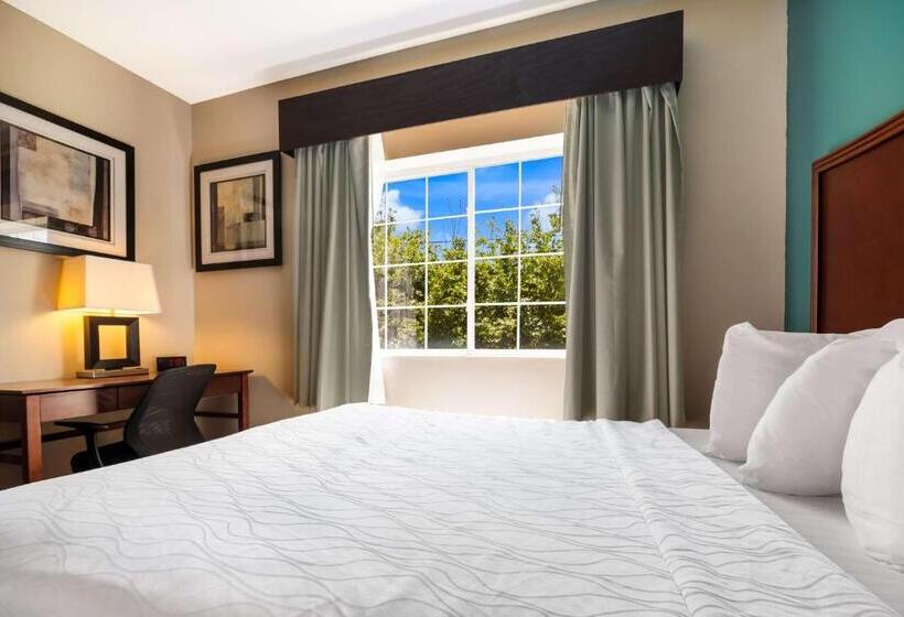 سوییت, Surestay Plus Hotel By Best Western Topeka