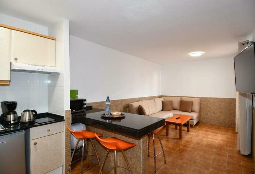 침실 1개 테라스 아파트, Apartamentos Villa Florida