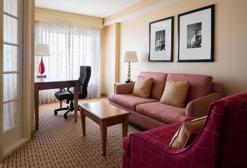 سوئیت با تخت بزرگ, Anaheim Marriott Suites