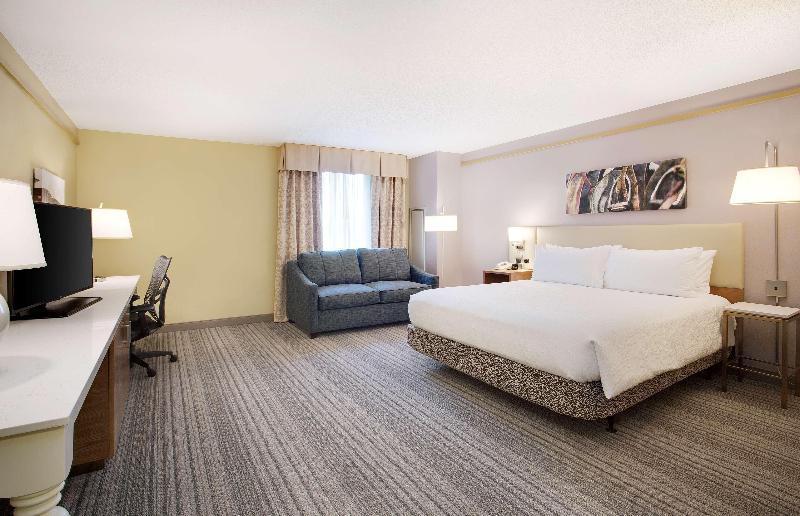 اتاق استاندارد با تخت بزرگ, Hilton Garden Inn Saratoga Springs