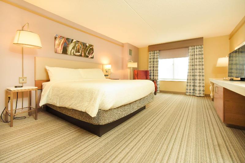 اتاق استاندارد با تخت بزرگ, Hilton Garden Inn Saratoga Springs