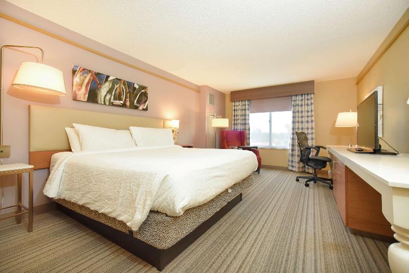اتاق استاندارد با تخت بزرگ, Hilton Garden Inn Saratoga Springs