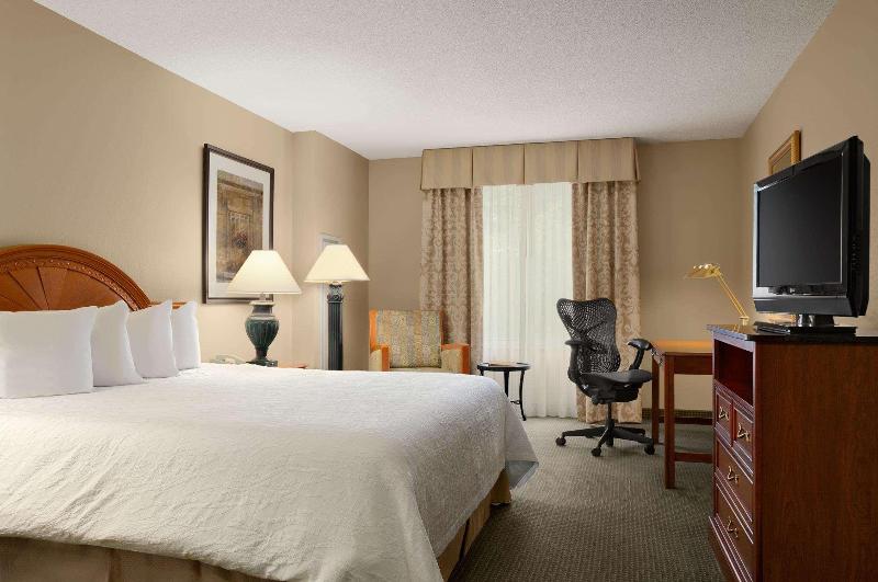 اتاق استاندارد با تخت بزرگ, Hilton Garden Inn Saratoga Springs