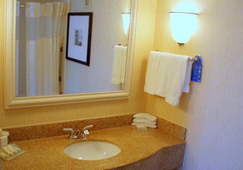 اتاق استاندارد, Hilton Garden Inn Saratoga Springs