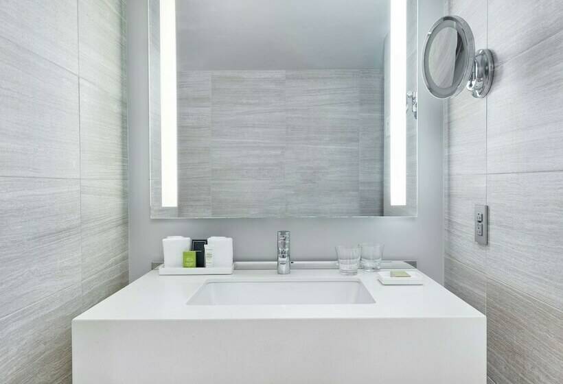 اتاق استاندارد با تخت دو نفره بزرگ, Millennium Hilton New York One Un Plaza